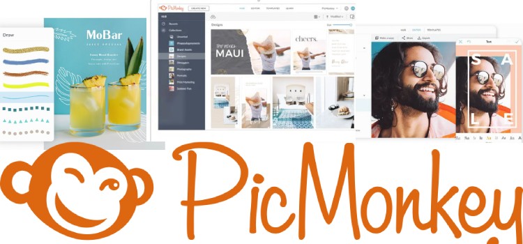 PicMonkey Review PROS & CONS (2022) - Should You Use?
