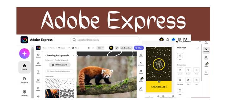 Adobe Express Review PROS & CONS (2023) - What It Offers?